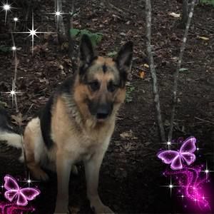 Meet your Posher, Vicki